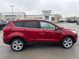 Used 2019 Ford Escape Titanium image 2