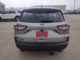 Used 2022 Ford Escape SE w/ SE Sport Appearance Package image 6