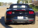 Used 2024 Ford Mustang Convertible image 6