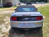 Used 2023 Ford Mustang Premium image 3