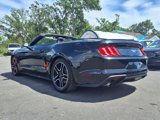 Used 2020 Ford Mustang Premium image 5