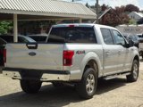 Used 2019 Ford F150 XLT w/ Equipment Group 302A Luxury image 3