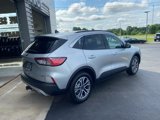 Used 2020 Ford Escape SEL image 3