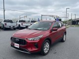 Certified 2023 Ford Escape Active w/ Tech Pack #2 image 3