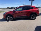 Used 2021 Ford Escape SE w/ SE Sport Appearance Package image 2