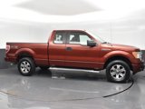 Used 2014 Ford F150 STX w/ Equipment Group 201A Mid image 4
