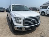 Used 2015 Ford F150 XLT w/ Equipment Group 301A Mid image 3