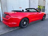Used 2015 Ford Mustang Convertible w/ Equipment Group 051A image 6