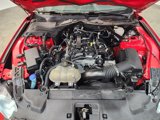 Used 2022 Ford Mustang Premium image 5