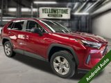 Used 2024 Toyota RAV4 LE image 6