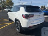 Used 2022 Jeep Compass Limited image 6