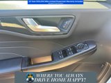 New 2025 Ford Escape ST-Line w/ Tech Pack #1 image 6