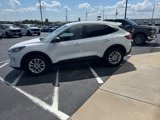 Used 2022 Ford Escape SE w/ Convenience Package image 3