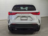 Used 2023 Lexus NX 350h AWD w/ Premium Package image 6