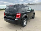 Used 2012 Ford Escape XLT image 5