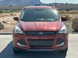 Used 2016 Ford Escape SE w/ SE Leather Comfort Package image 5