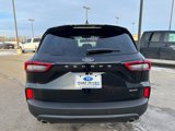 New 2025 Ford Escape ST-Line w/ Tech Pack #1 image 4