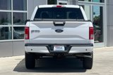 Used 2016 Ford F150 XLT w/ Equipment Group 302A Luxury image 5