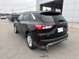 Used 2022 Ford Escape SE w/ Convenience Package image 3