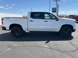 New 2024 Chevrolet Silverado 1500 LT Trail Boss w/ Protection Package image 2