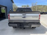Used 2014 Ford F150 Platinum image 6