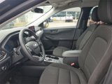 Certified 2024 Ford Escape Active image 5