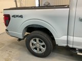 New 2025 Ford F150 XLT w/ Equipment Group 301A Standard image 4