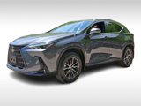 Used 2024 Lexus NX 350 AWD image 3