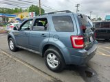 Used 2010 Ford Escape XLT image 4