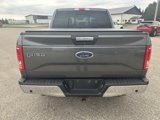 Used 2016 Ford F150 XLT w/ Equipment Group 302A Luxury image 6