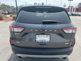 Used 2020 Ford Escape SE image 5