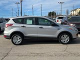 Used 2013 Ford Escape S image 2
