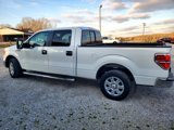 Used 2014 Ford F150 XLT w/ Equipment Group 302A Luxury image 4