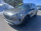 Used 2022 Ford Escape SE w/ Convenience Package image 3