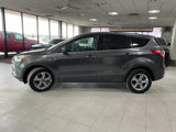 Used 2016 Ford Escape SE w/ SE Cold Weather Package image 4