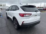 Used 2022 Ford Escape SE w/ SE Sport Appearance Package image 5