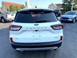 Used 2020 Ford Escape SE image 4