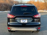 Used 2013 Ford Escape Titanium image 4