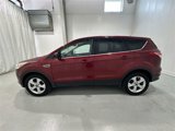 Used 2015 Ford Escape SE image 5