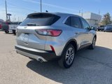 Certified 2022 Ford Escape SEL image 4