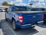 Certified 2022 Ford F150 XL w/ STX Appearance Package image 5