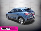 Used 2020 Ford Escape SEL image 6