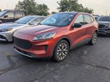 Used 2020 Ford Escape SE Sport image 3
