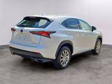 Used 2021 Lexus NX 300 AWD w/ Cold Area Package image 4