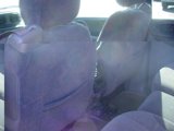 Used 2002 Chevrolet TrailBlazer LT w/ Driver Convenience Pkg image 5