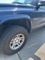 Used 2002 Dodge Dakota SLT image 4