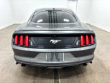 Used 2017 Ford Mustang Premium w/ Equipment Group 201A image 5