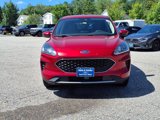 Used 2020 Ford Escape SE image 2