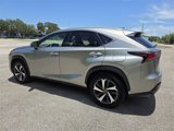 Used 2021 Lexus NX 300 AWD w/ Premium Package image 5