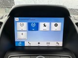Used 2017 Ford Escape SE w/ SE Leather Comfort Package image 5